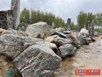 别墅庭院水池驳岸石